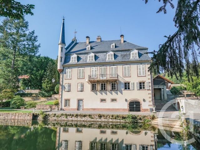 Afficher la photo en grand immeuble à vendre - 1036.0 m2 - BOERSCH - 67 - ALSACE - Century 21 Weibel