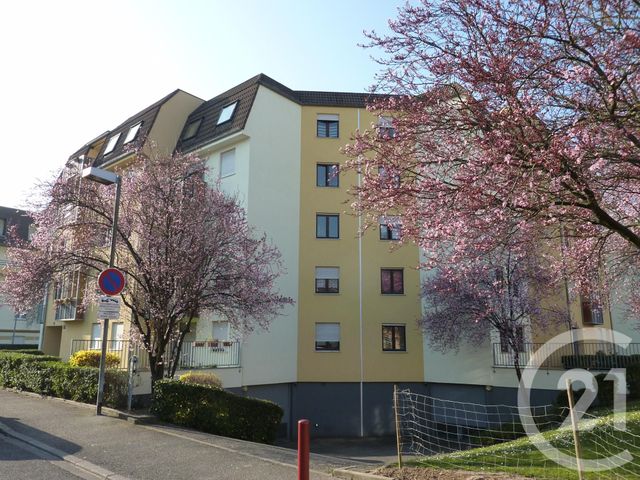 appartement - STRASBOURG - 67