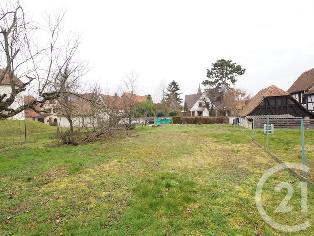 terrain à vendre - 601.0 m2 - VENDENHEIM - 67 - ALSACE - Century 21 Weibel